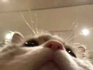 🙂