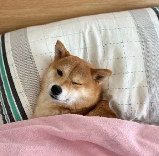 💓