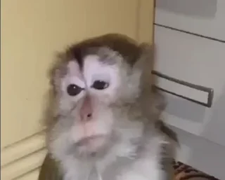 😥