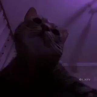 😮