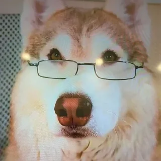 🌟