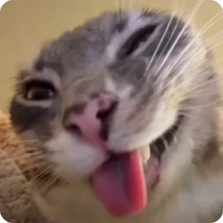 👅