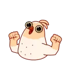 💪
