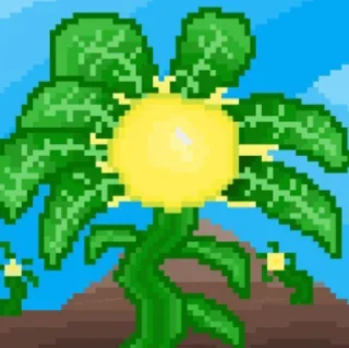 🤩