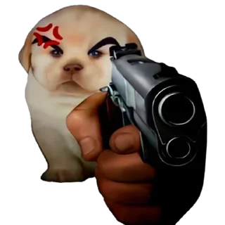 😎