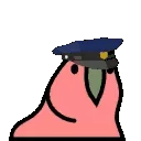 🦜