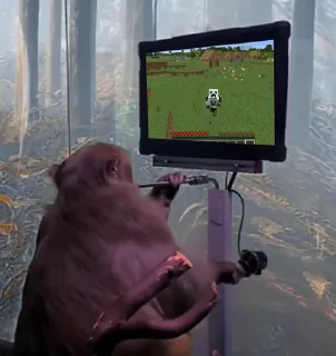 🎮