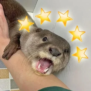 🤩