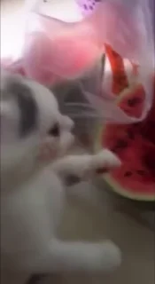 🤡
