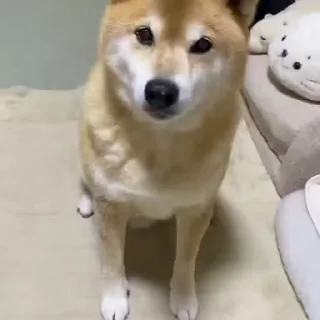 😏