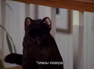 😭