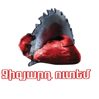 🥩