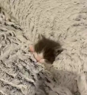 😴