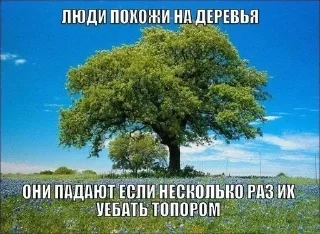 🧂