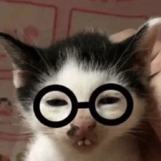 🤓