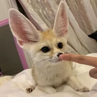 😇