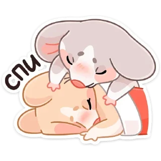 😴