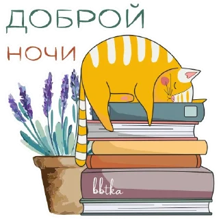 😴