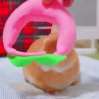 🥛
