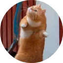 😄