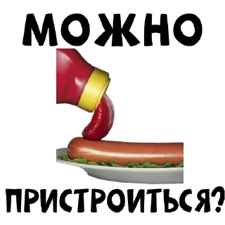 🌭