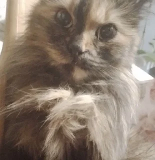 😠
