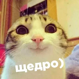 👍
