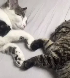 ❤️
