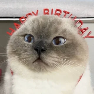 🥳