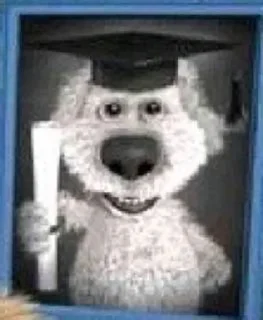 🐶