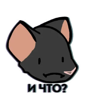 🐀