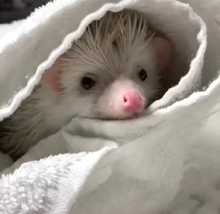 ☺