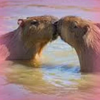 💏