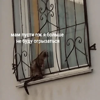 😐