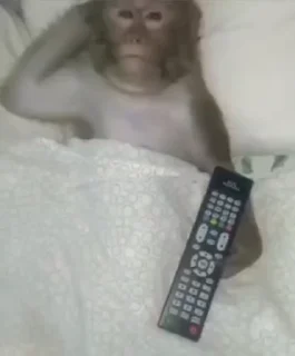 😳