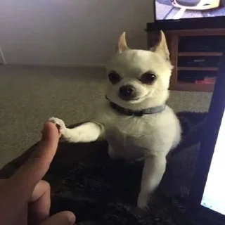 ❤️