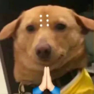 🙏