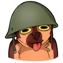 😛