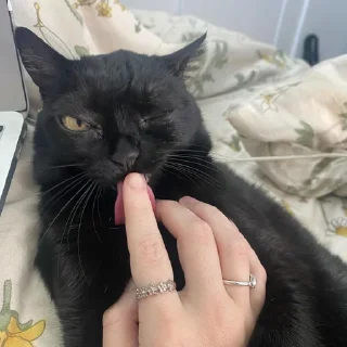 😒