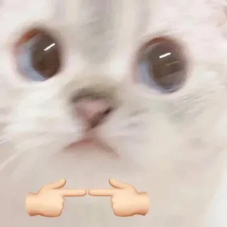 🙈