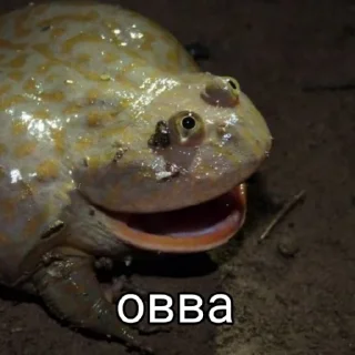 😳