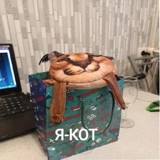 😺