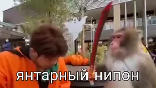 💫