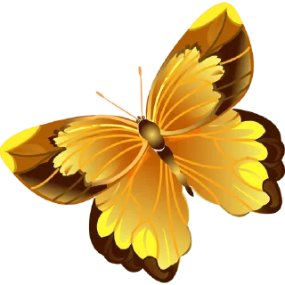 🦋