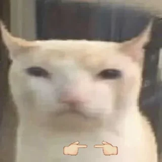 🙋‍♀️