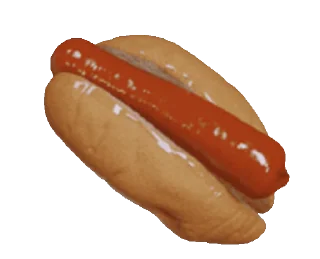 🌭