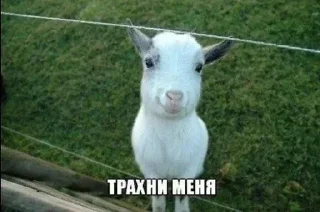 ❔