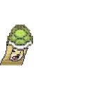 🐢