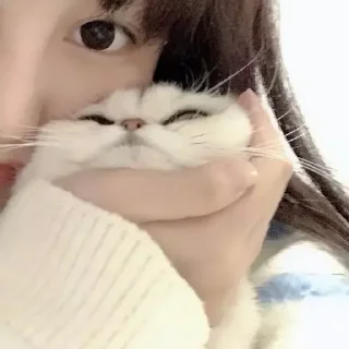 🤍