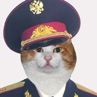 👮‍♂